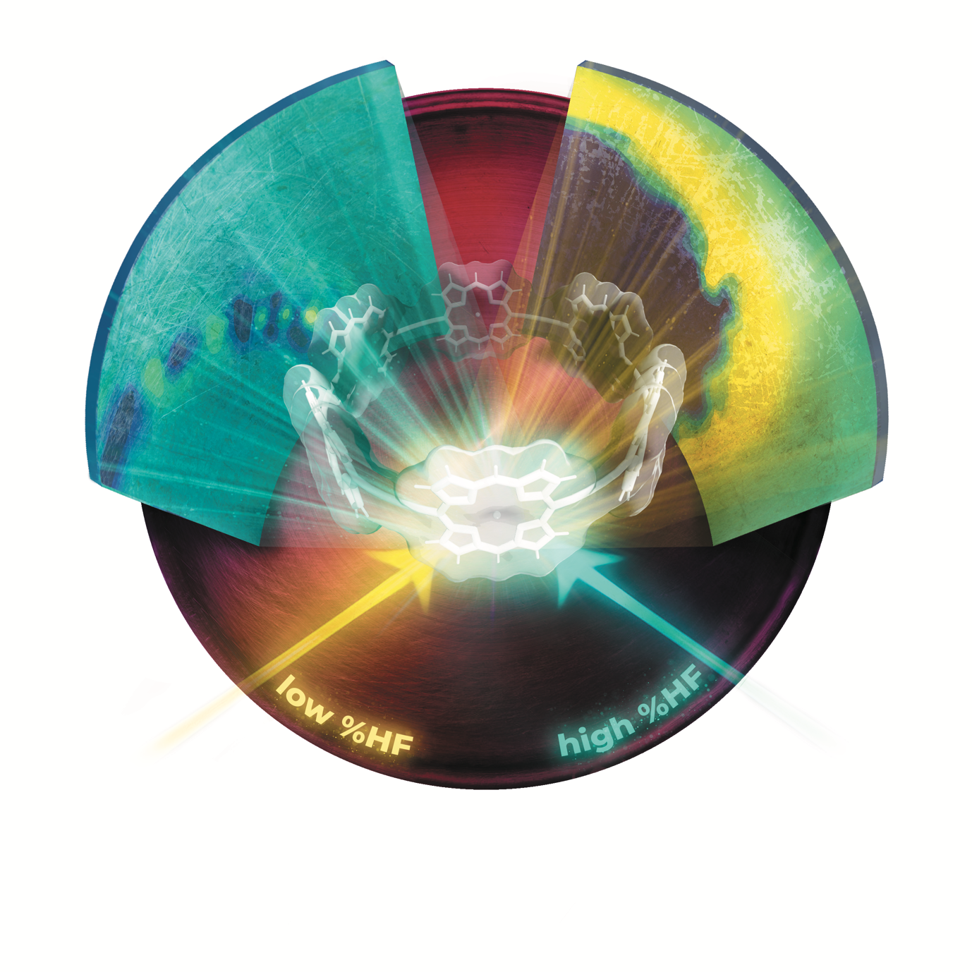 Six-porphyrin nanoring